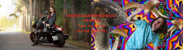 шишки Володарск