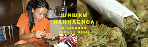 мдпв Вязьма