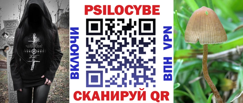 Псилоцибиновые грибы GOLDEN TEACHER  Строитель 