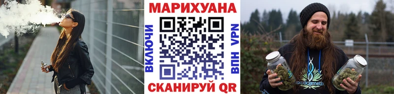 Конопля сатива  Строитель 